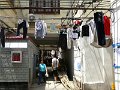 Shanghai (029)